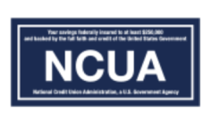 Nation Credit Union Association Logo