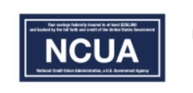 Nation Credit Union Association Logo