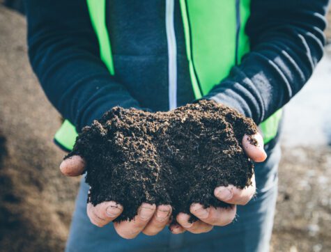 A Man holding composted dirt in his hands.