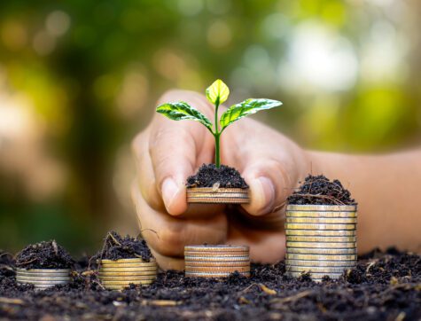 Investor's hand holding a coin with a tree growing on the concept of financial and investment success.