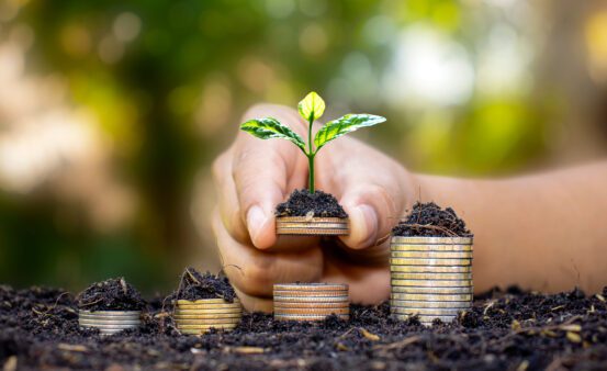 Investor's hand holding a coin with a tree growing on the concept of financial and investment success.